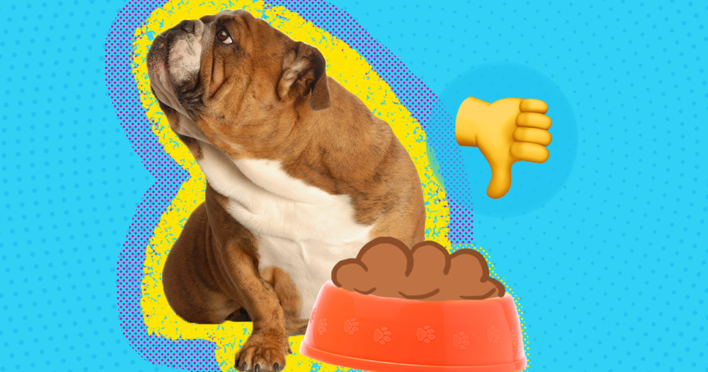 How To Introduce Your Pup To A New Dog Food